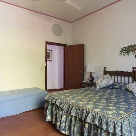 Montignano Trecentolivi B&B מראה חיצוני תמונה